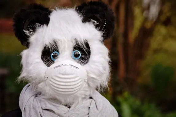 TopBet Casino Kundeservice